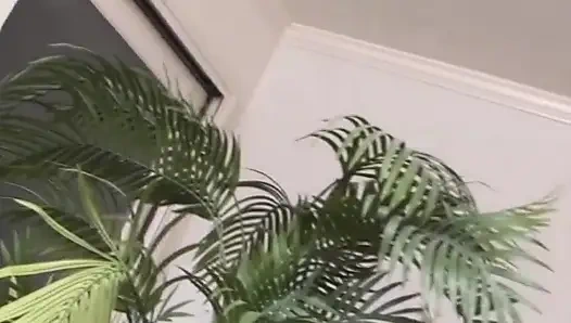 Amatör büyük memeli zenci erkek avcısı canavar zenci yarağıyla sikiliyor ve götüne boşalıyor