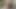 Cd teaser 2
