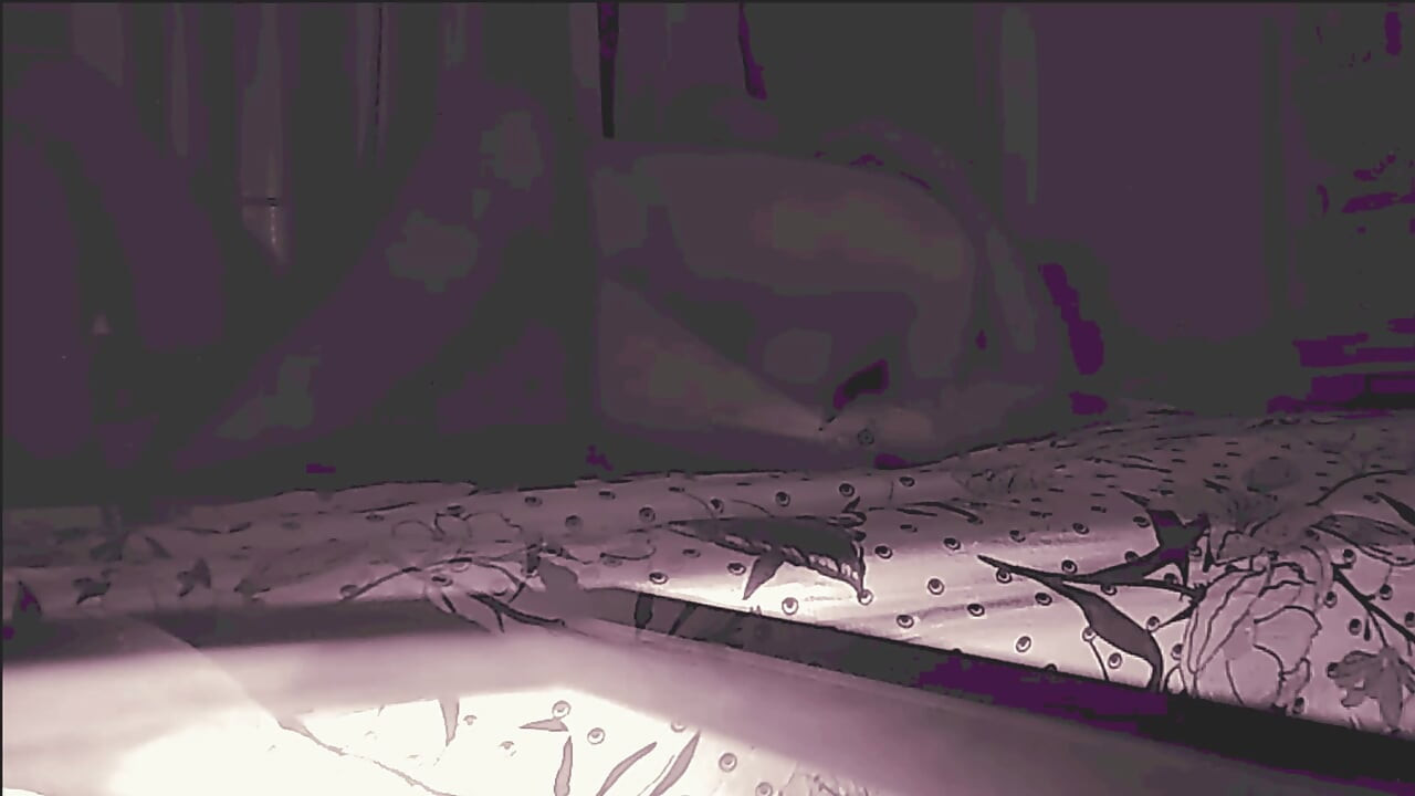 Anal Stepdaughter Tight Asshole Used Without Permission Painal Part 4