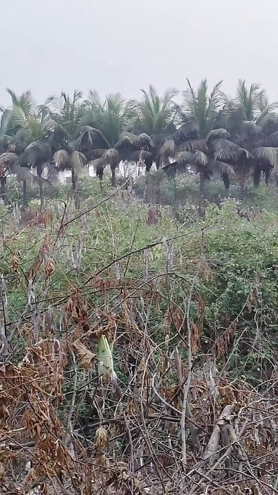 Pujya Bhabhi Ko Jungle Mein Le Gaya Kar Bahut Choda Apni Bibi Saath Bahut Chudai Kiya