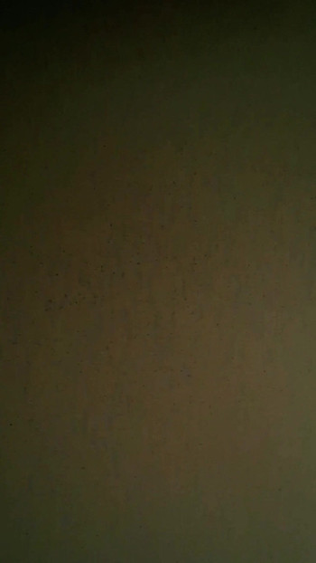 私の太いチンポ