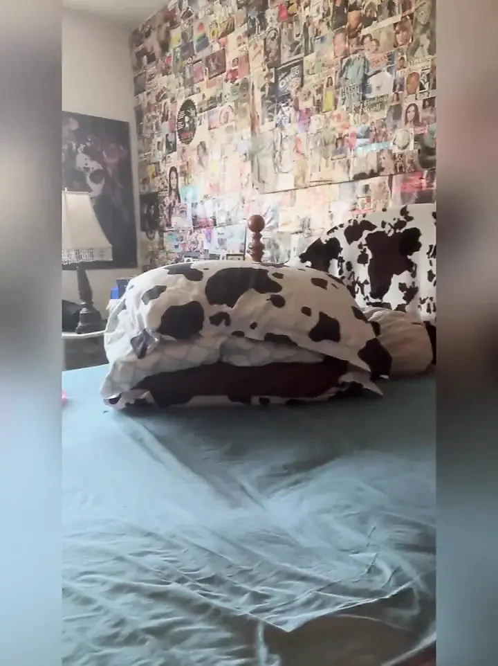 Fresh Sheets