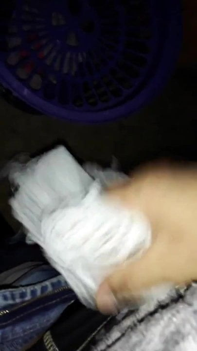 Paja rapida