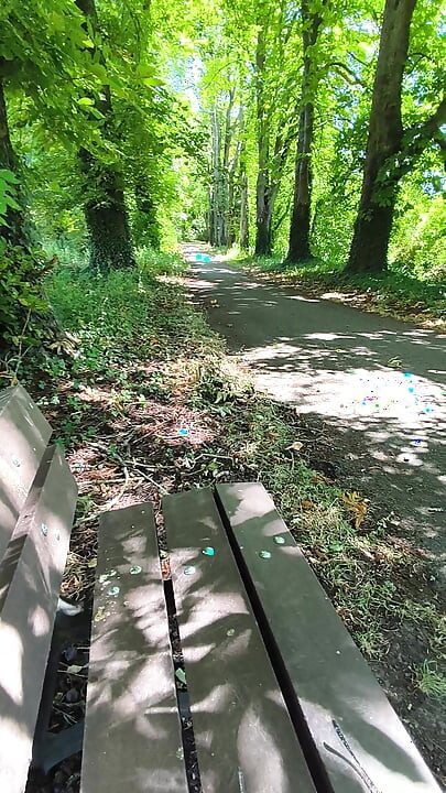Solo masturbation on a bench in the woods
