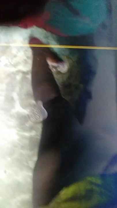 My favourite sexy aunty