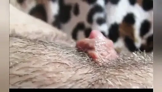HUUUUUUGE BABA IÇIN ıSLAK KLITORIS DERLEMESI