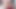 妻は新しい21Cmのおもちゃで楽しんでいます
