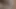 0373 He likes to lick my hairy ass after i fuck him so good (Full Version from OnlyFans)