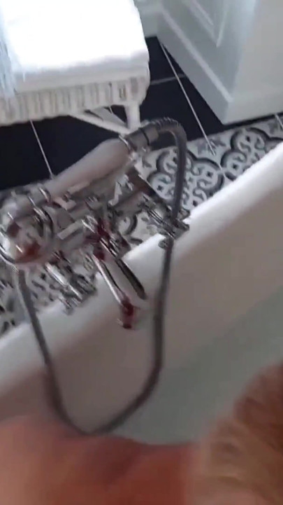 Beautiful Mature Wife Enjoys Sex in the Bathroom