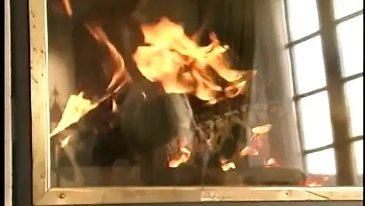 Blonde schönheit mit erstaunlichen titten bekommt ihre muschi geleckt und dann wird gefickt