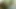 Porno yıldızı çift kameramanla sohbet etti