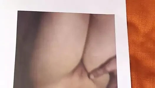 Elfe00 için övgü