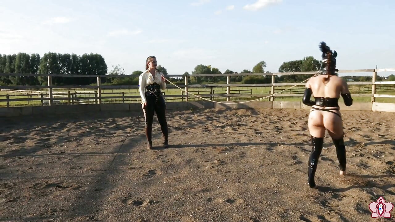 Trotting to Submission