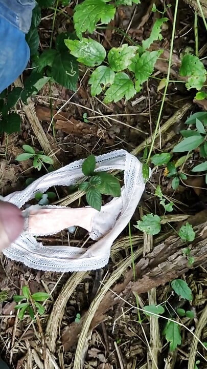 Korišćene gaćice pronađene u šumi