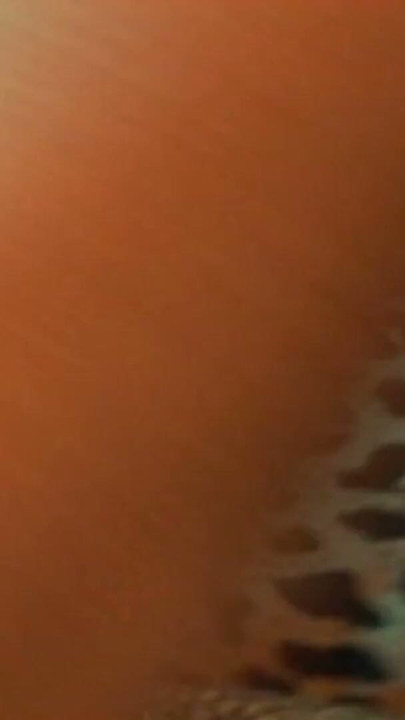 Lesbians fisting deep in Pussy | Clip 3