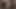 Horny Midget fuck MILF