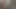 Turian Shower Growth Animation