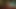 エロス・エキゾチカ:妊娠中の性の道