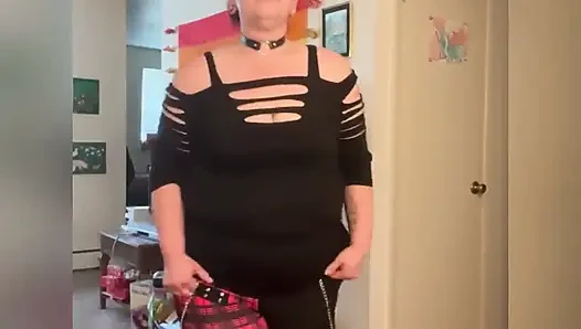 Thick Cat Playtime