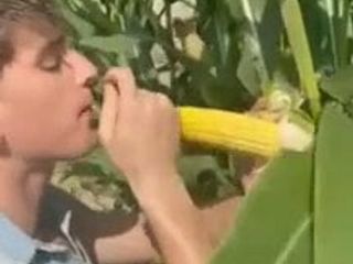 Chupando milho