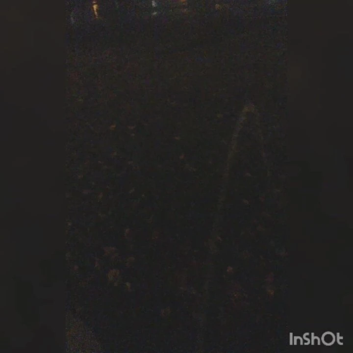 Orinar en un parque
