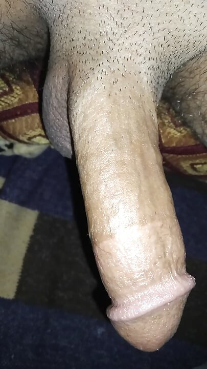 Mi polla necesita coños