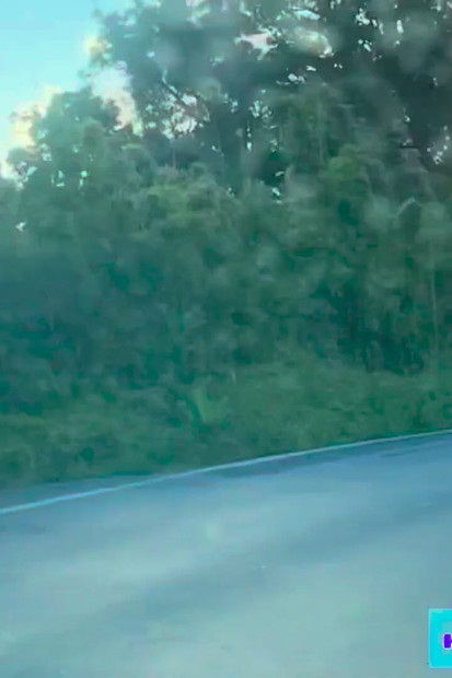 رحلة برية إلى هانا لسوزي وايلد في شلالات وايموكو، ماوي