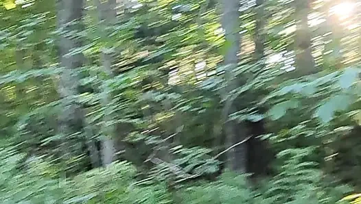 Жесткий моча в лесу