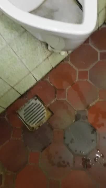 Kumpel pisst wie ein Hengst