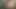 Peterraynor Intense hard anal sex hot tasty big ass swallowing huge cock sweet intense pleasure gaping ass swallowing huge cock