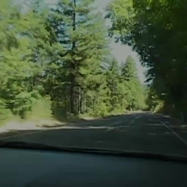 Backwoods Bears: Rik and Michael