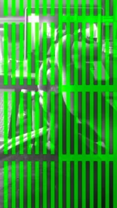 Sexy xHamster BBC Bull Jacking and Cum Tribute