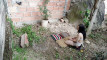 Previzualizare clip video