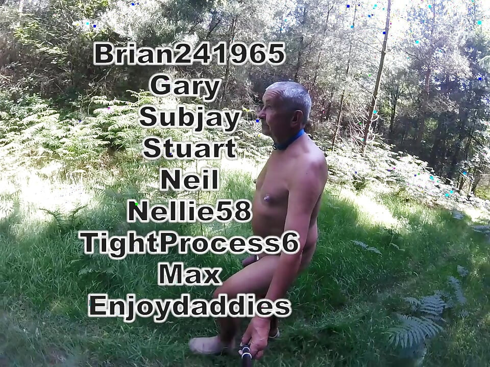 Šetnja 39 2025