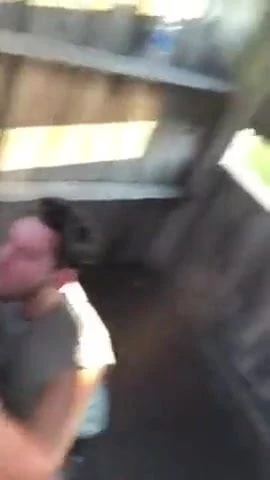 Sucking and swallow