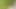 Walking Barefoot on the Grass
