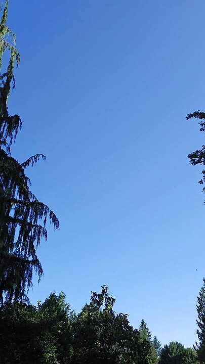 灑水日