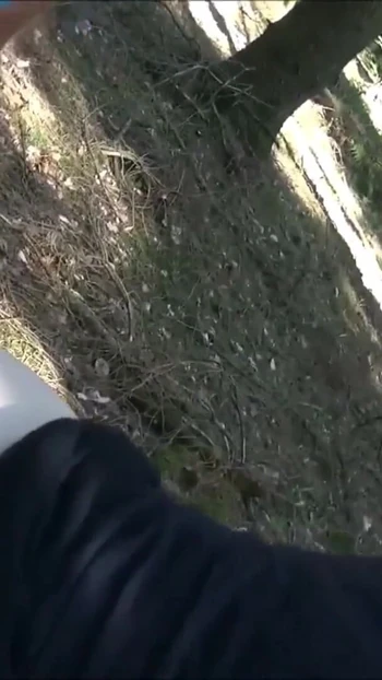 Epic moment from "Real Teen Street Hooker Fuck in Park for Cash by German Guy"