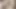 Vintage - funda locklear
