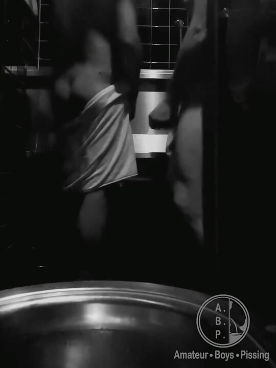 Public Toilets Encounter #2