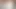 Pakistanlı Hint bengalcesi tiktok