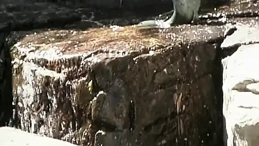 Heiße Schulmädchen in Aktion