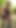 クロスドレッサーKellycd2022黒PVCドレスとシームレスパンストのセクシーな熟女ザーメンの瞬間