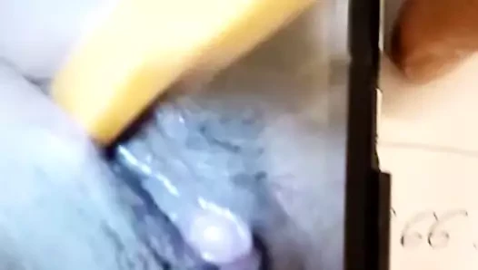 sulu kedi