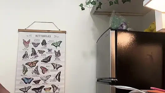 Чернокожую большую попку тверкают обнаженной на кухне во время приготовления пищи