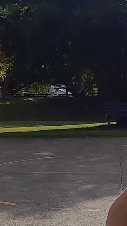 Powerful moment from "Straight guy playing basketball in public with his dick out."