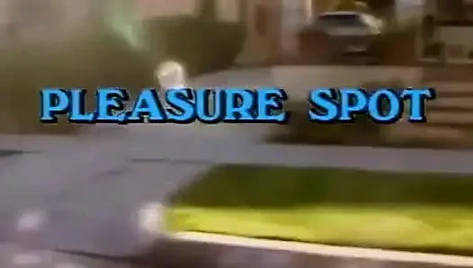 Классические порно DVD: Место удовольствия: часть 1