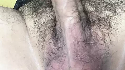 Meu pau fofo