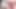 Hard Thrust Creampie Frenzy. Wild Gyaru Pleasure with Relentless Piston Action