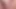 küçük asyalı